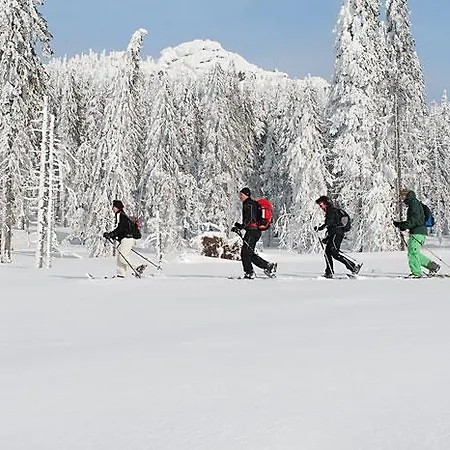 Apartment Hofstub'n *